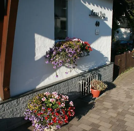 Haus Butz 3* ヴィンターベルク